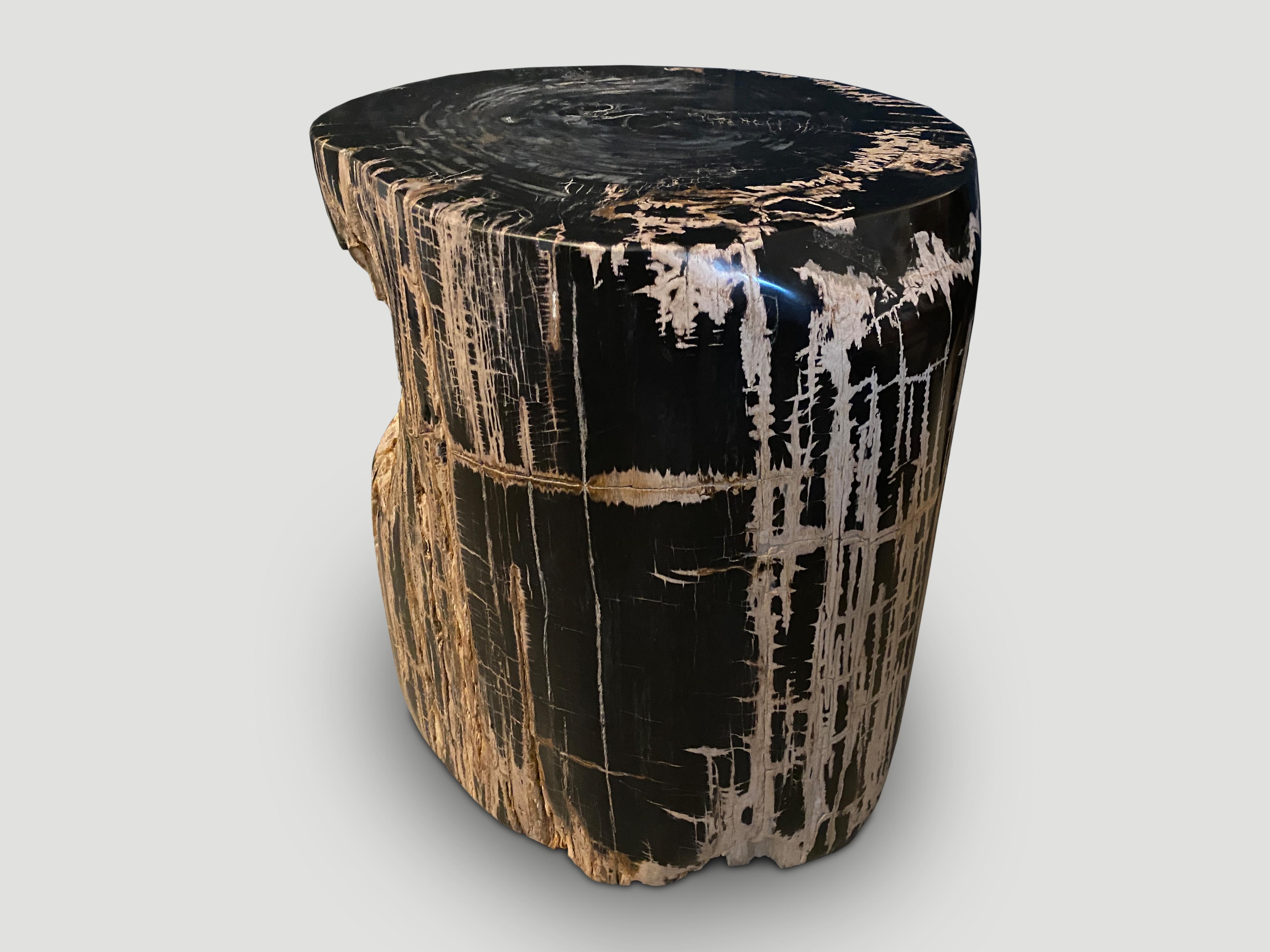 18th Century and Earlier Andrianna Shamaris Ancient Sculptural Petrified Wood Side Table For Sale