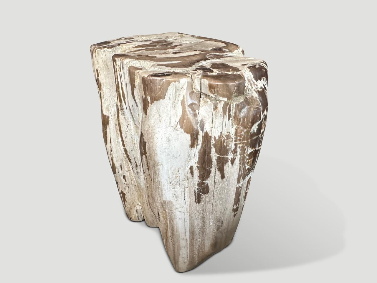 Andrianna Shamaris Antigua mesa auxiliar escultórica de madera petrificada Madera en venta