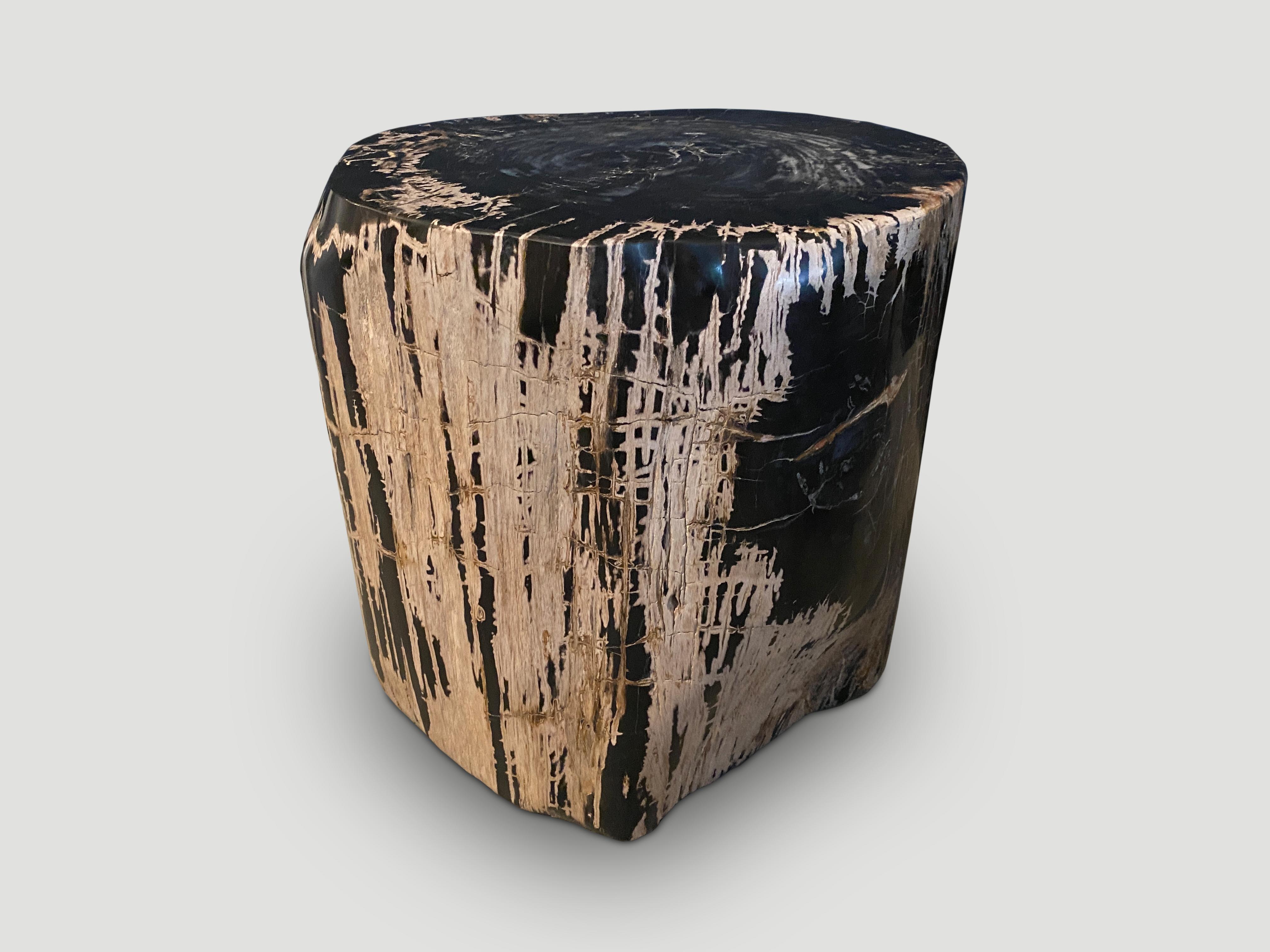 Andrianna Shamaris Ancient Sculptural Petrified Wood Side Table For Sale 1