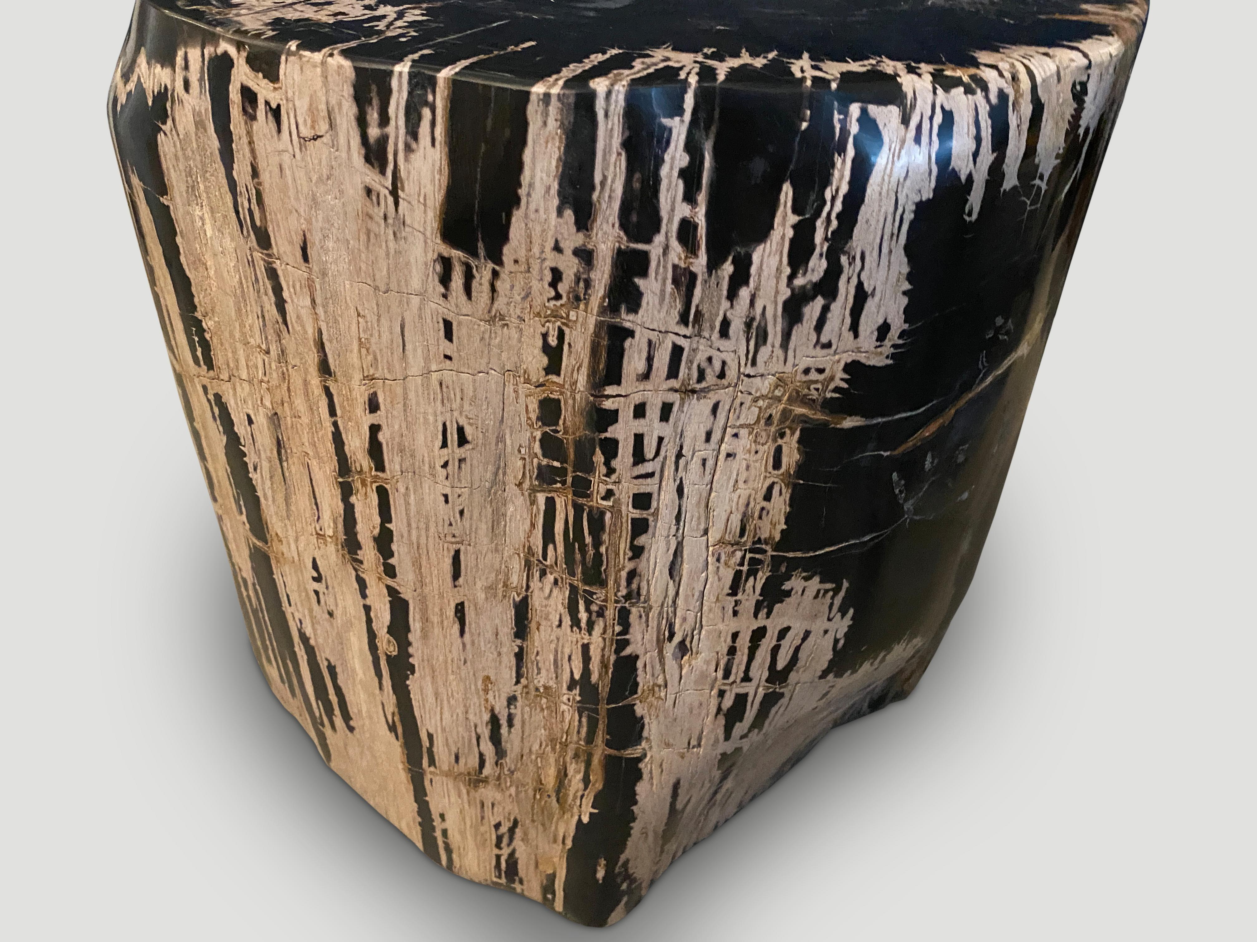 Andrianna Shamaris Ancient Sculptural Petrified Wood Side Table For Sale 2