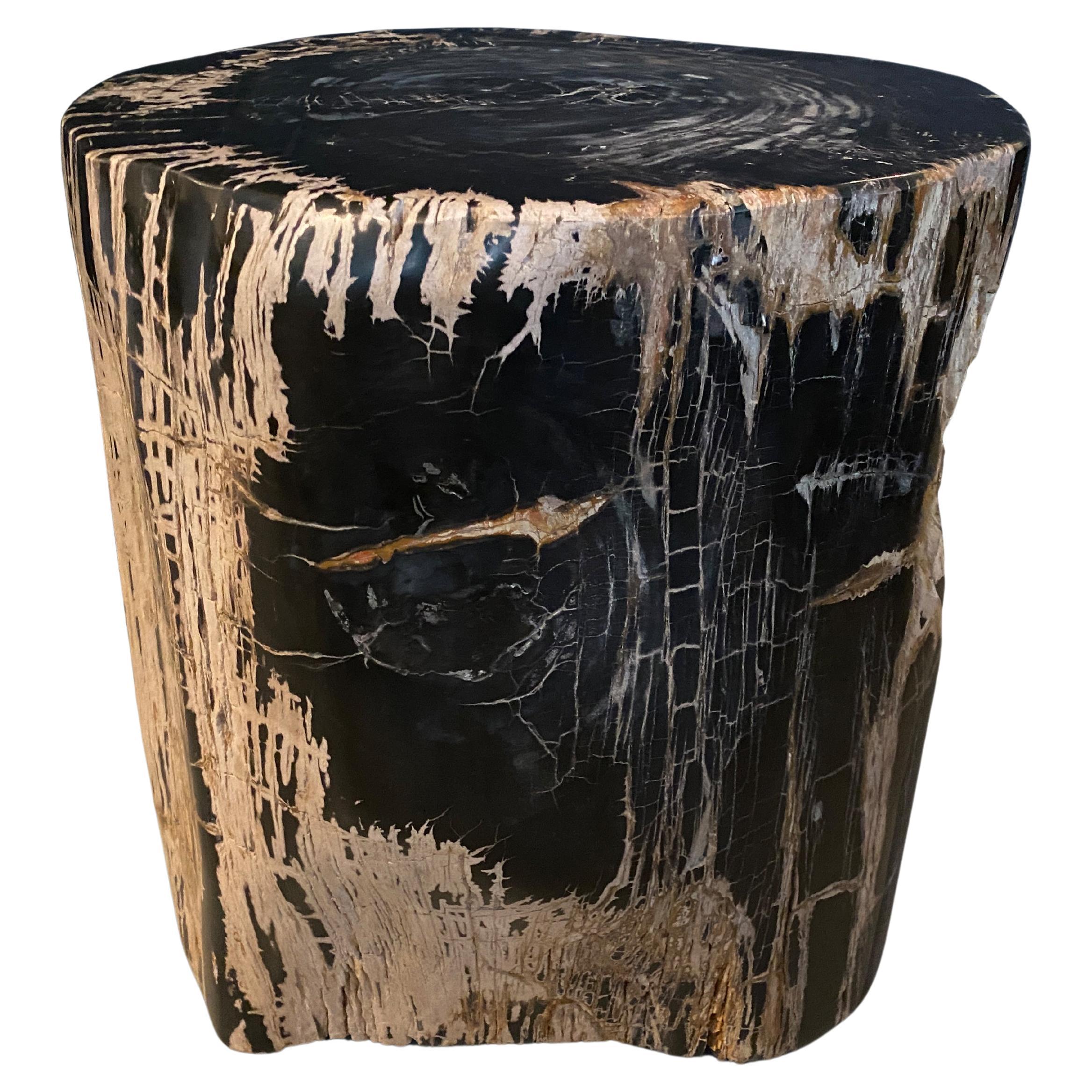 Andrianna Shamaris Antigua mesa auxiliar escultórica de madera petrificada
