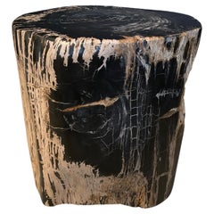 Andrianna Shamaris Antigua mesa auxiliar escultórica de madera petrificada