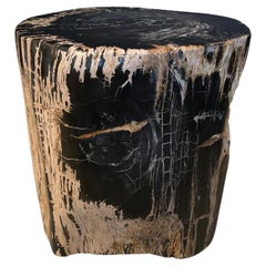 Used Andrianna Shamaris Ancient Sculptural Petrified Wood Side Table