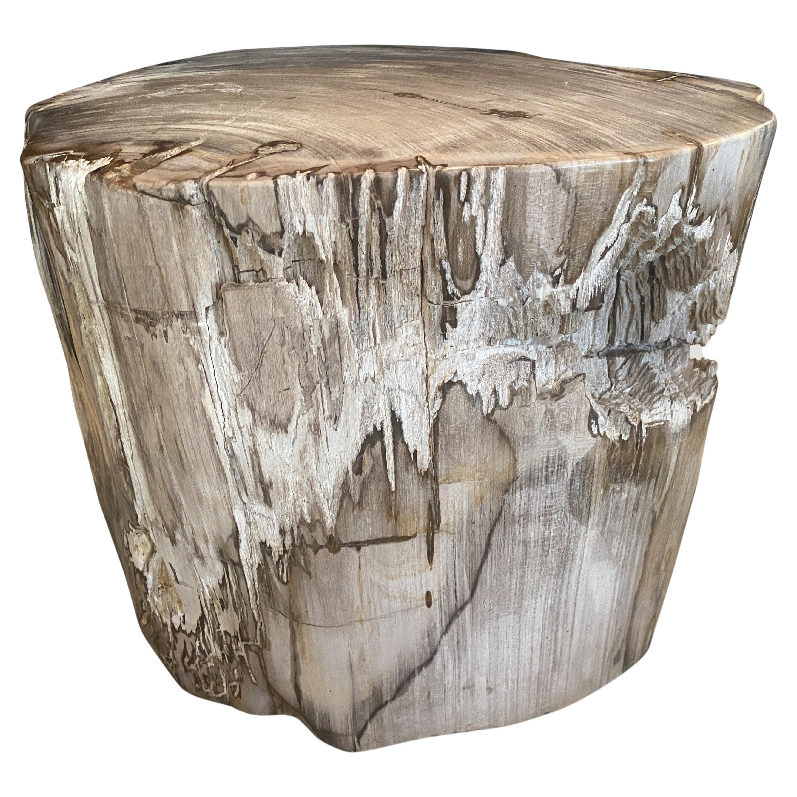 Andrianna Shamaris Ancient Sculptural Petrified Wood Side Table For Sale