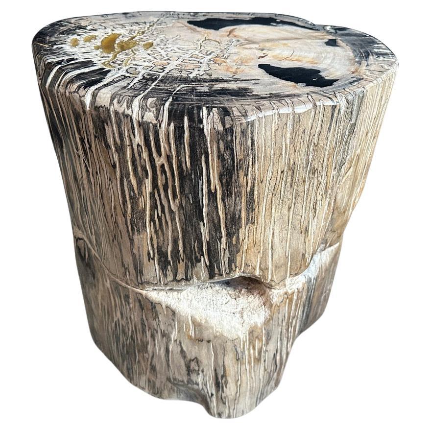 Andrianna Shamaris Ancient Sculptural Petrified Wood Side Table  For Sale