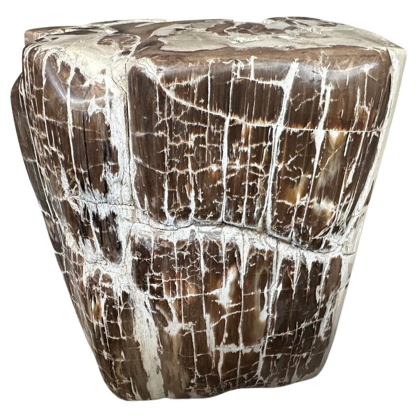 Andrianna Shamaris Antigua mesa auxiliar escultórica de madera petrificada en venta