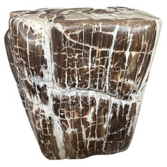 Andrianna Shamaris Ancient Sculptural Petrified Wood Side Table