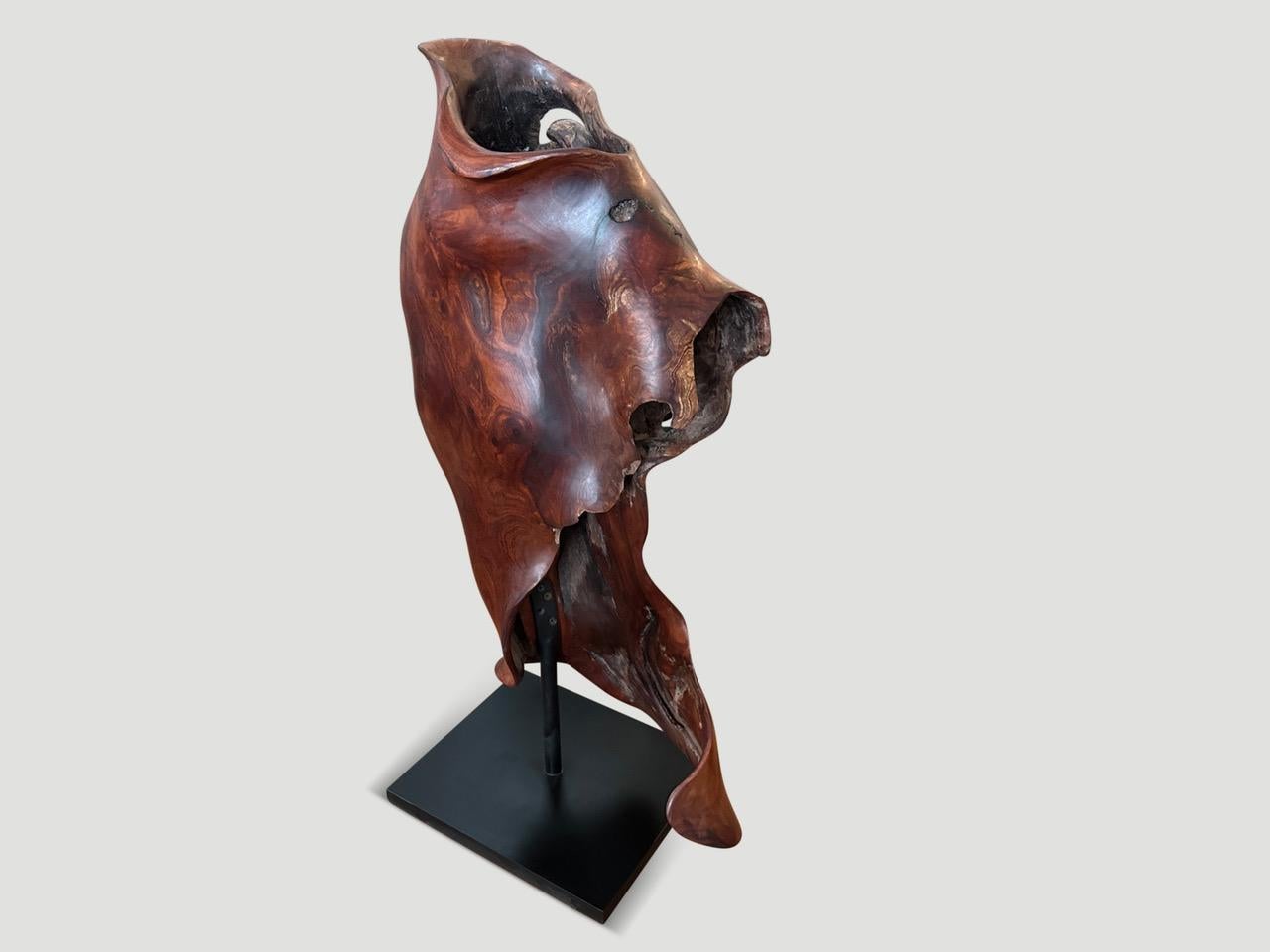 Century year old wood with incredible patina is set on a minimalist black steel base which is twelve x ten inches. This beautiful single piece of wood, resembling a torso, has been hand carved whilst respecting the natural organic shape. It’s all in