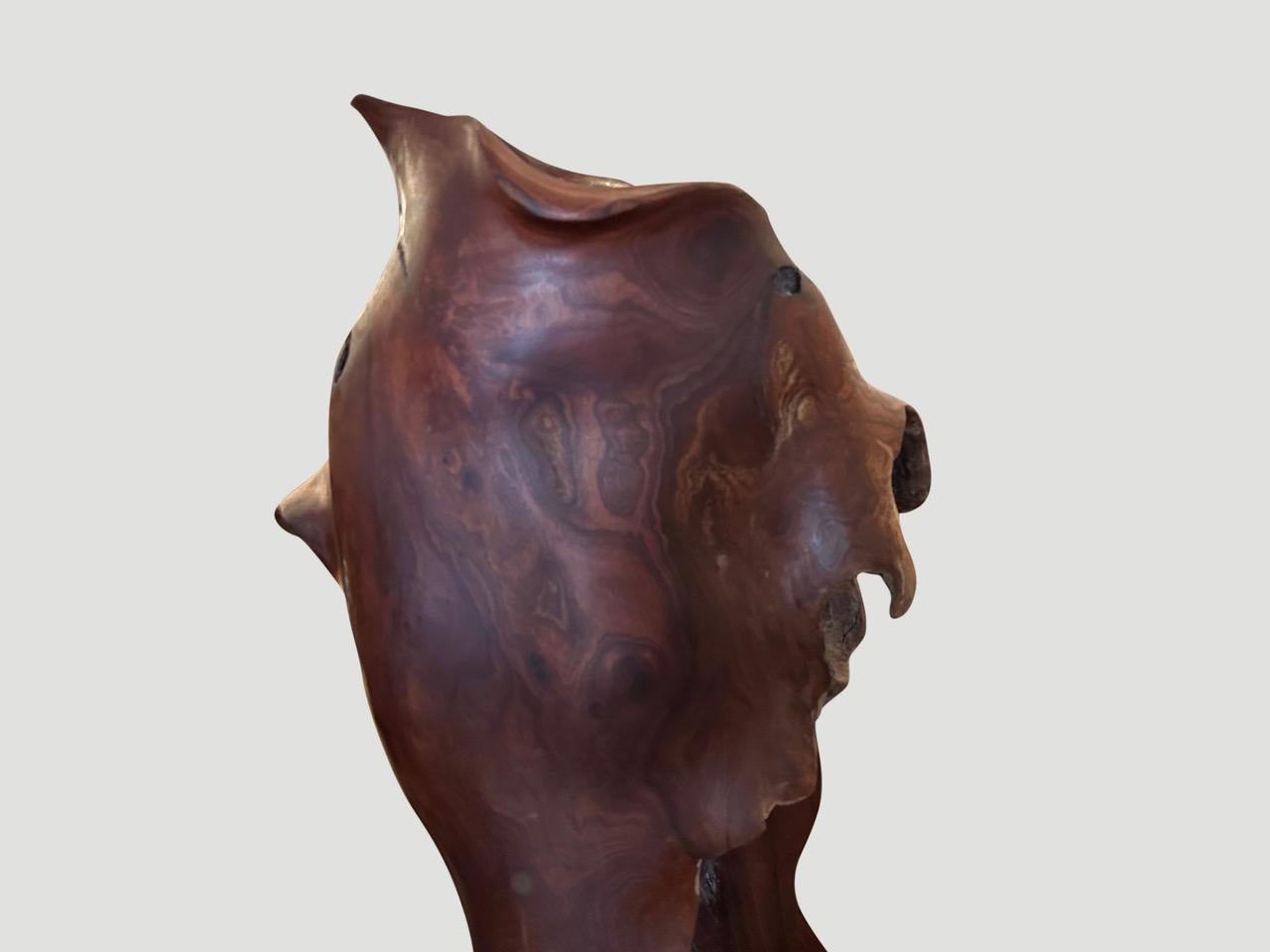 Andrianna Shamaris Ancient Wood Torso In Good Condition For Sale In New York, NY