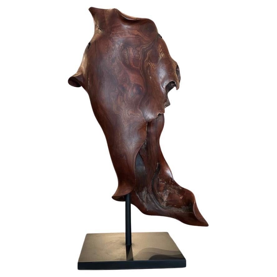 Andrianna Shamaris Torso in legno antico