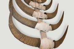 Antique Water Buffalo Sculpture