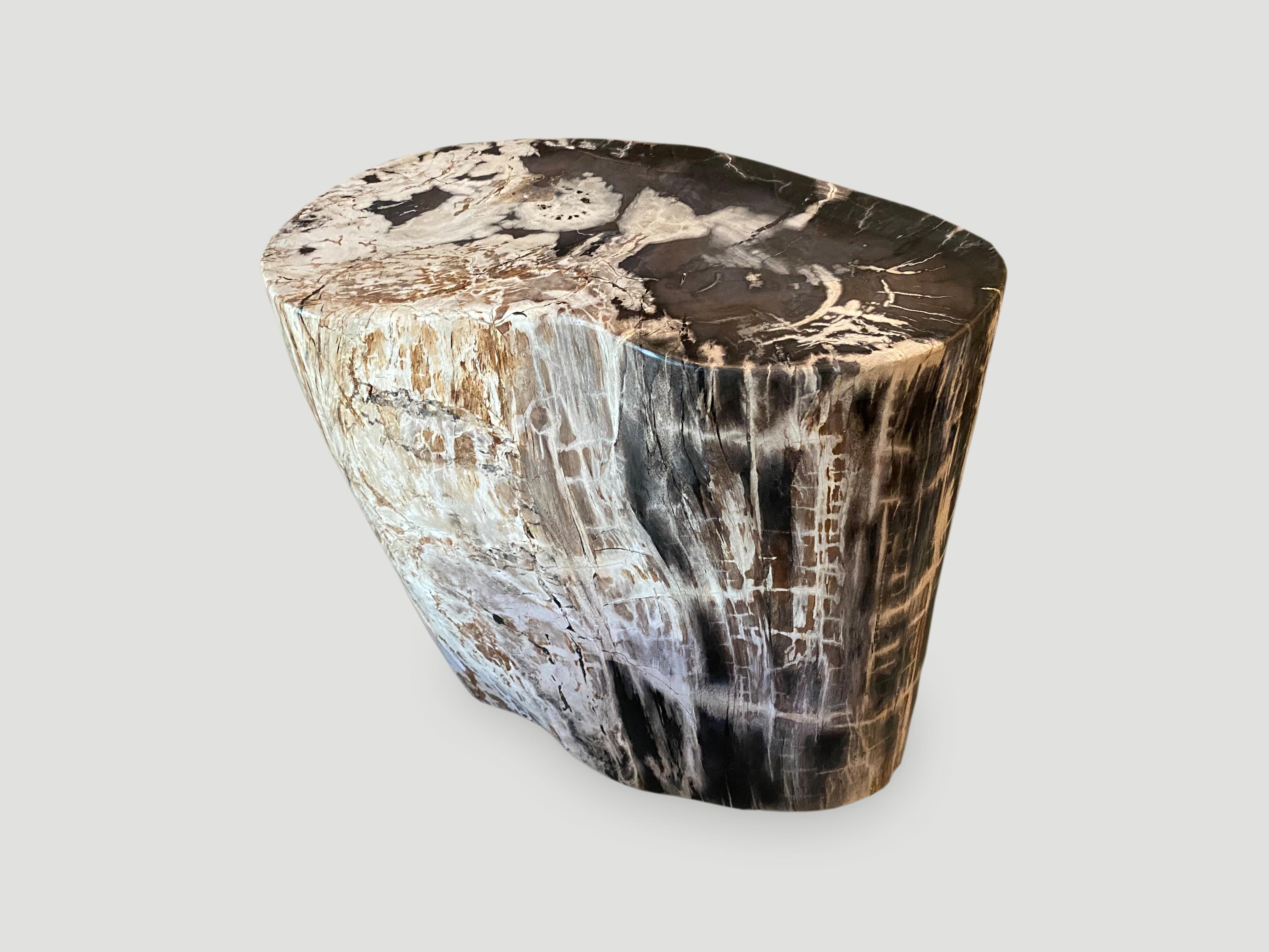 High quality petrified wood side table. This one has beautiful markings and a very usable shape. It’s fascinating how Mother Nature produces these exquisite 40 million year old petrified teak logs with such contrasting colors and natural patterns
