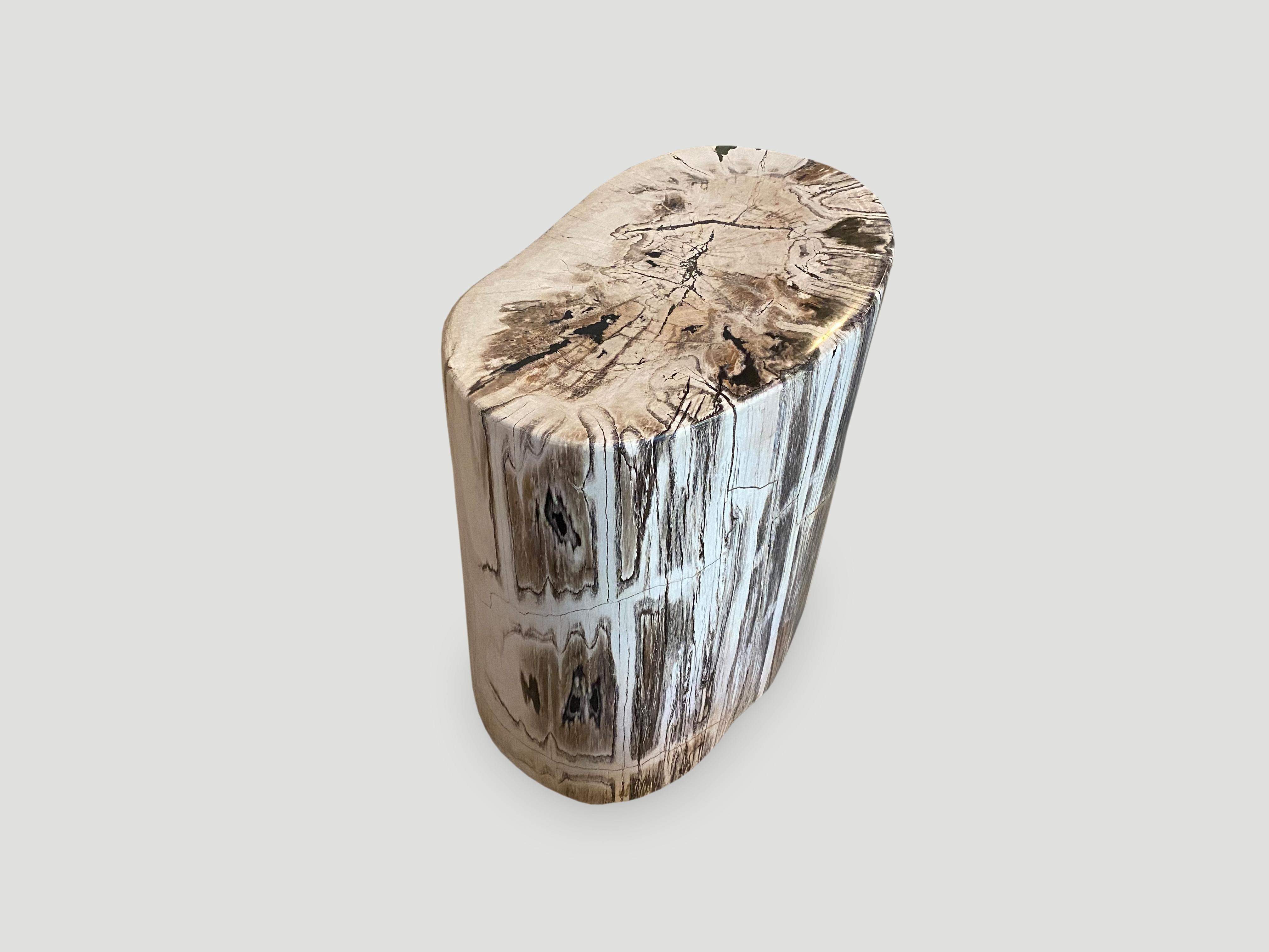 Andrianna Shamaris Beautiful Grey Black and White Petrified Wood Side Table In Excellent Condition In New York, NY