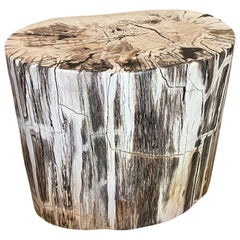 grey petrified wood Andrianna Shamaris Beautiful Grey Black and White Petrified Wood Side Table