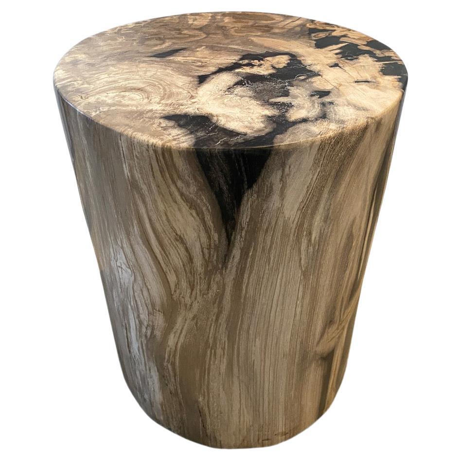 Andrianna Shamaris High Quality Petrified Wood Side Table or Coffee