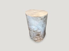 Andrianna Shamaris Beautiful Neutral Toned Petrified Wood Side Table