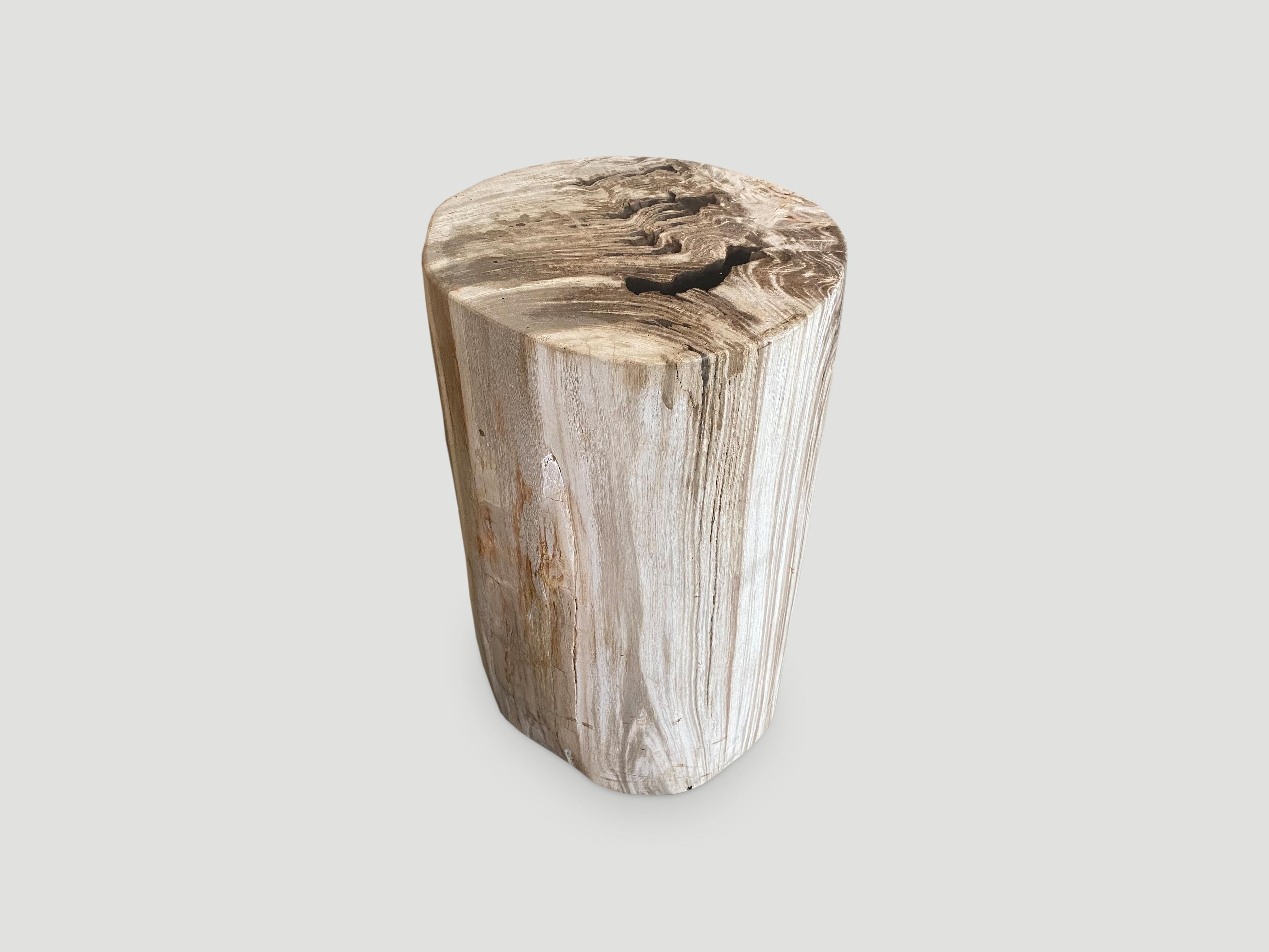 Organic Modern Andrianna Shamaris Beautiful Neutral Toned Petrified Wood Side Table with Resin