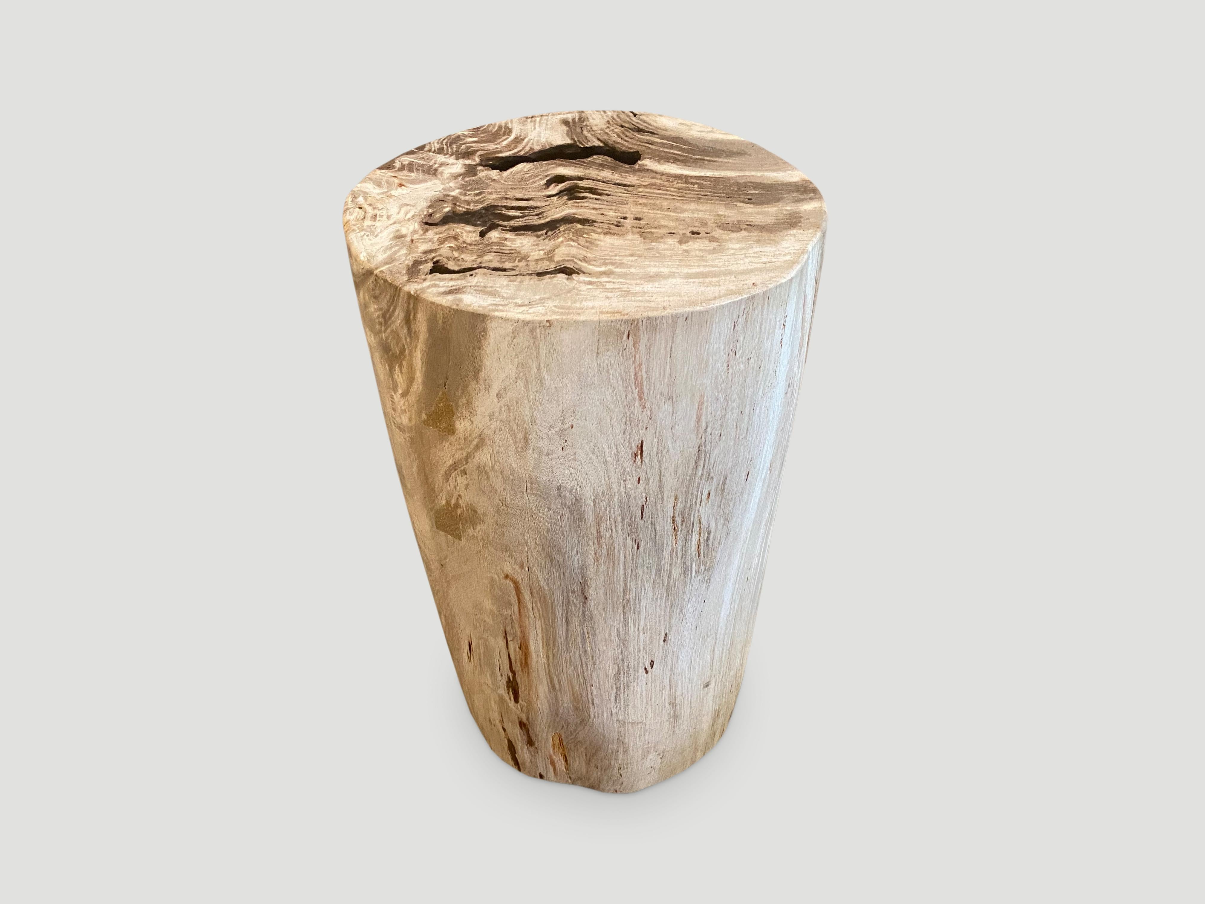 Andrianna Shamaris Beautiful Neutral Toned Petrified Wood Side Table with Resin In Excellent Condition In New York, NY
