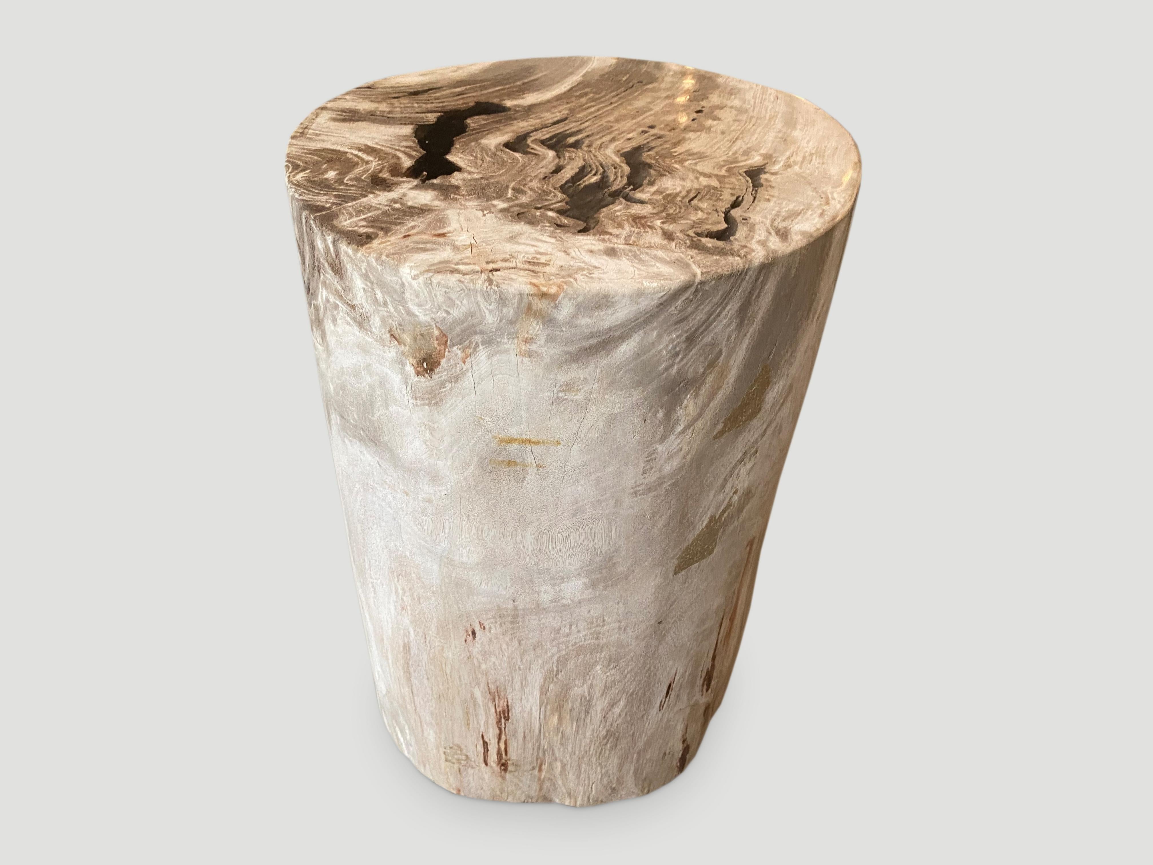 18th Century and Earlier Andrianna Shamaris Beautiful Neutral Toned Petrified Wood Side Table with Resin