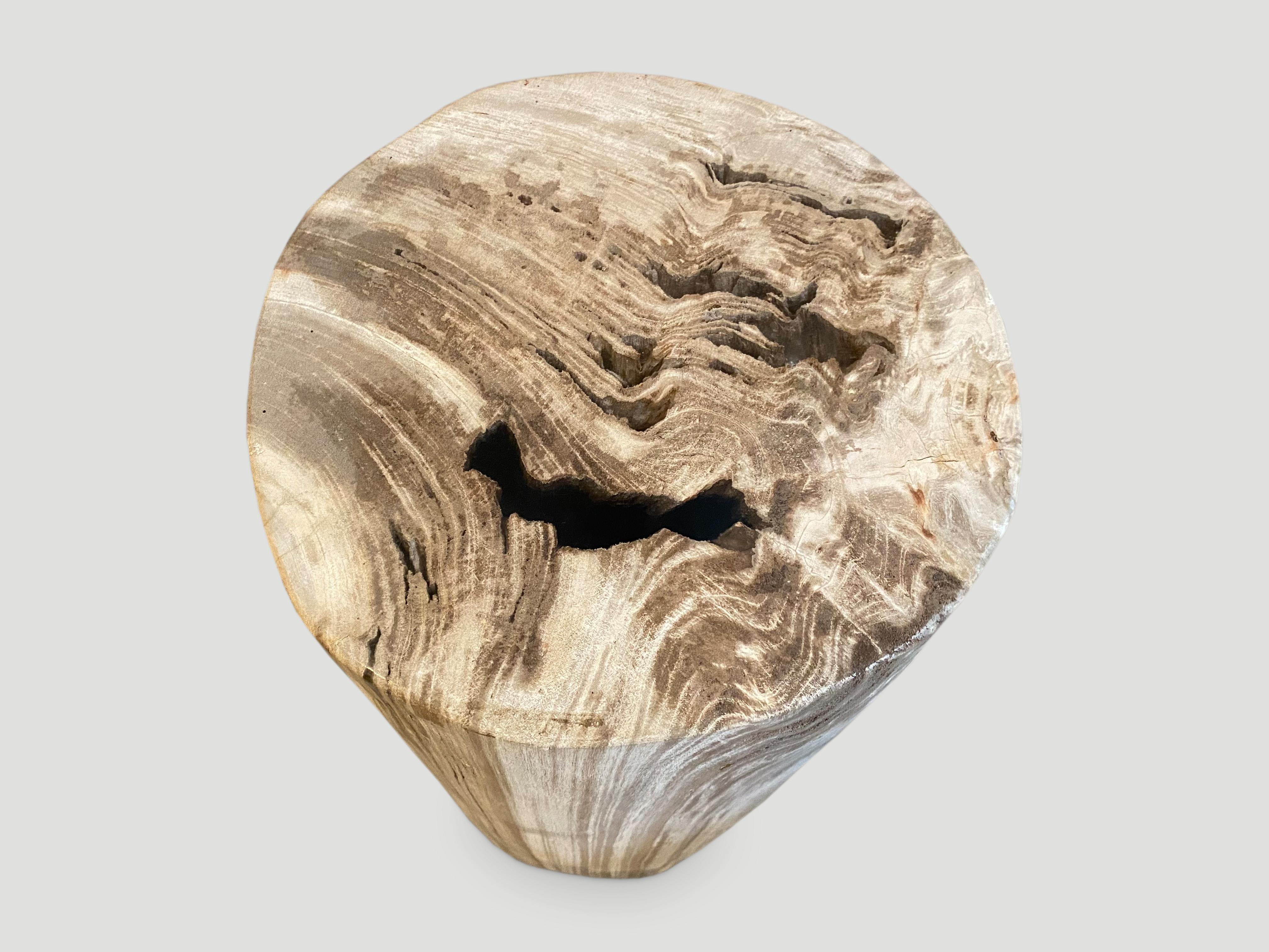 Andrianna Shamaris Beautiful Neutral Toned Petrified Wood Side Table with Resin 1