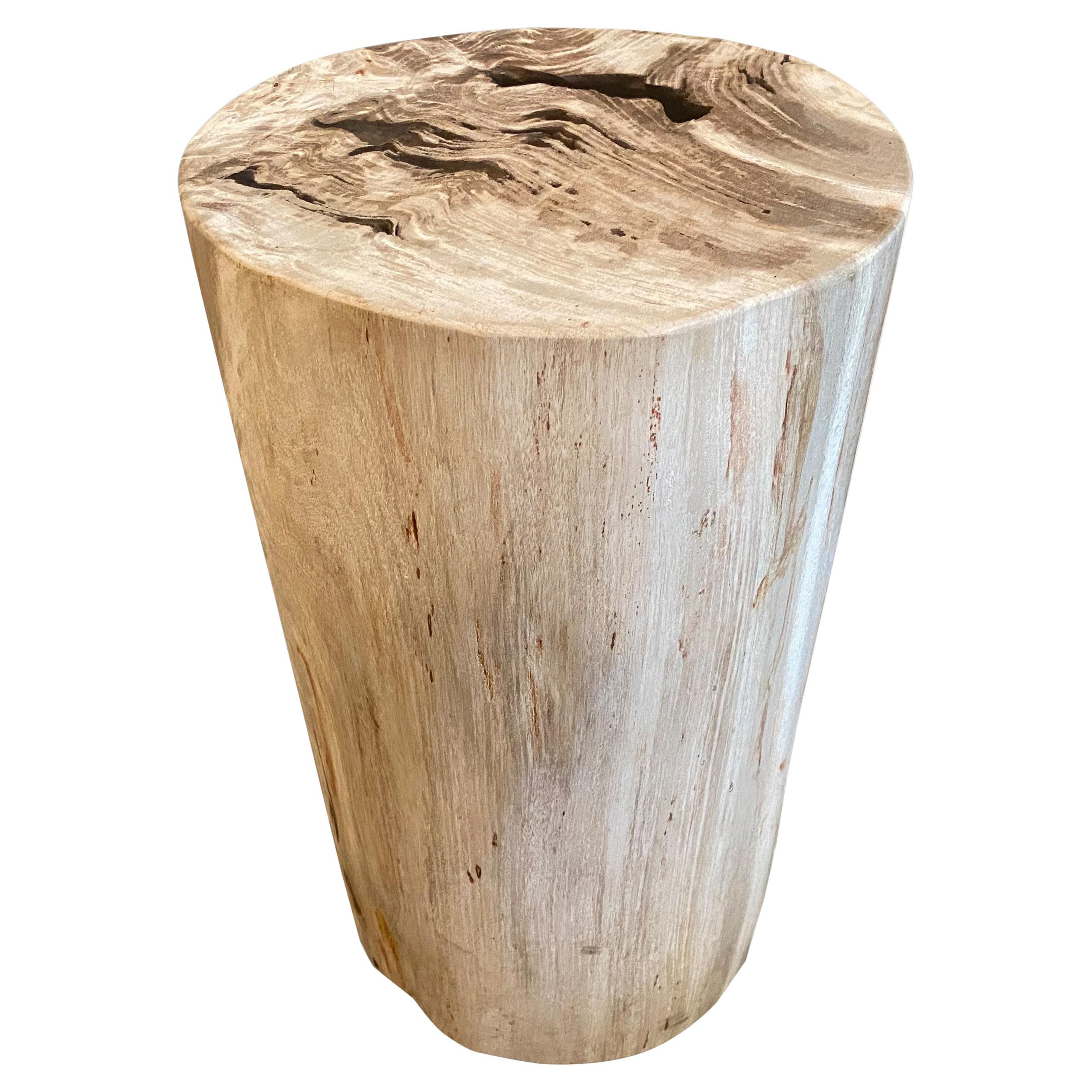 Andrianna Shamaris Beautiful Neutral Toned Petrified Wood Side Table with Resin