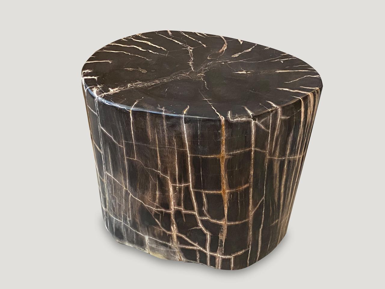 High quality petrified wood side table. It’s fascinating how Mother Nature produces these exquisite 40 million year old petrified teak logs with such contrasting colors and natural patterns throughout. Modern yet with so much history. This one is