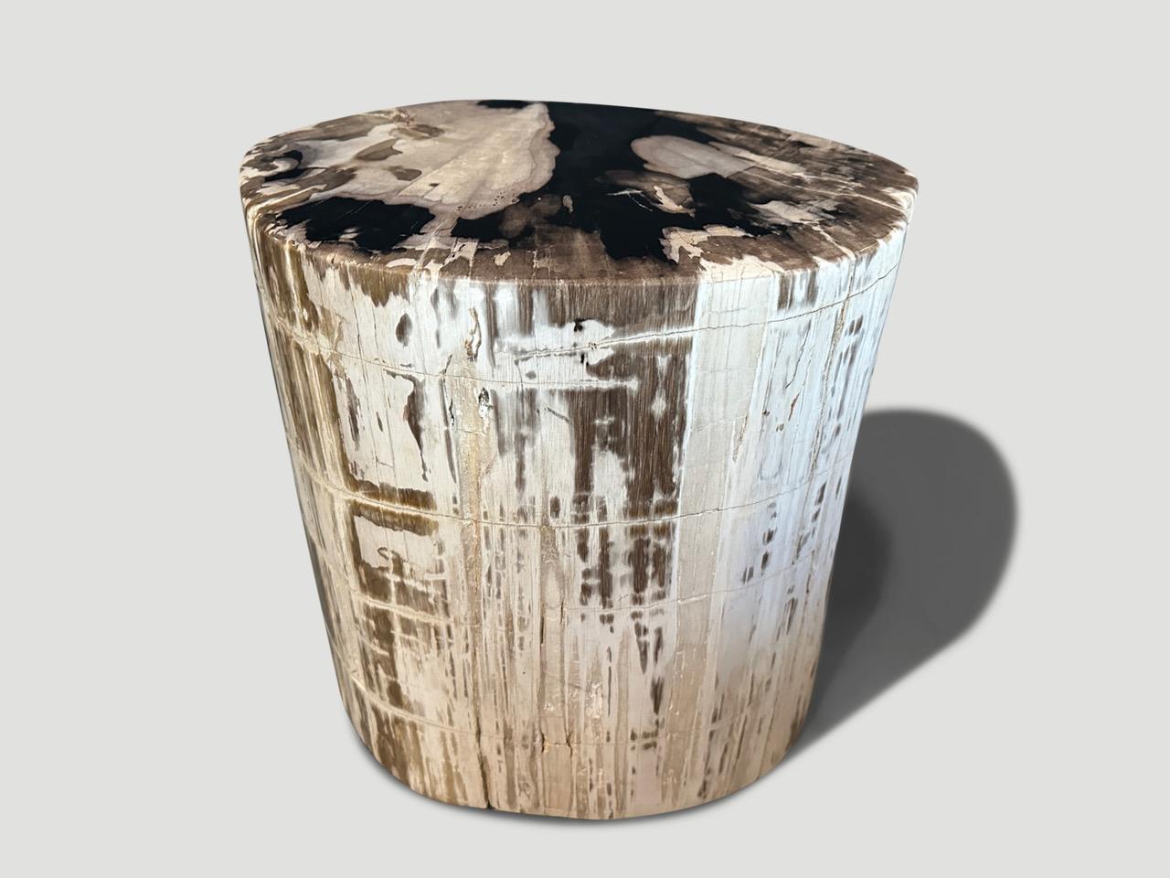 Impressive high quality petrified wood ancient side table with beautiful markings. It’s fascinating how Mother Nature produces these exquisite 40 million year old petrified teak logs with such contrasting colors and natural patterns throughout.