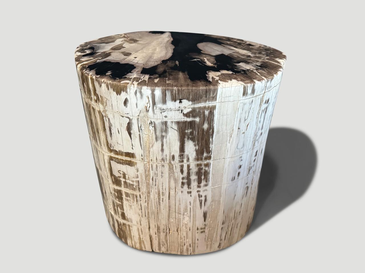 Impressionante tavolino antico in legno pietrificato di alta qualità con bellissimi segni. È affascinante il modo in cui Mother Nature produce questi squisiti tronchi di teak pietrificati risalenti a 40 milioni di anni fa, con colori così