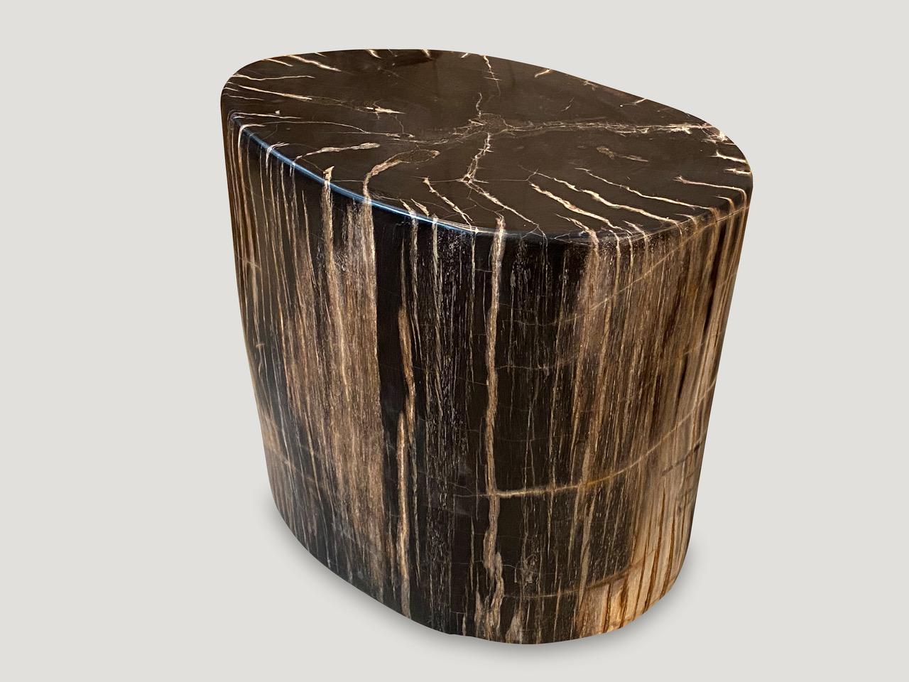Organic Modern Andrianna Shamaris Beautiful Petrified Wood Side Table
