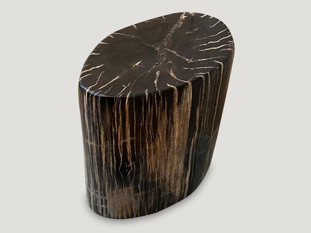 Andrianna Shamaris Beautiful Petrified Wood Side Table In Excellent Condition In New York, NY