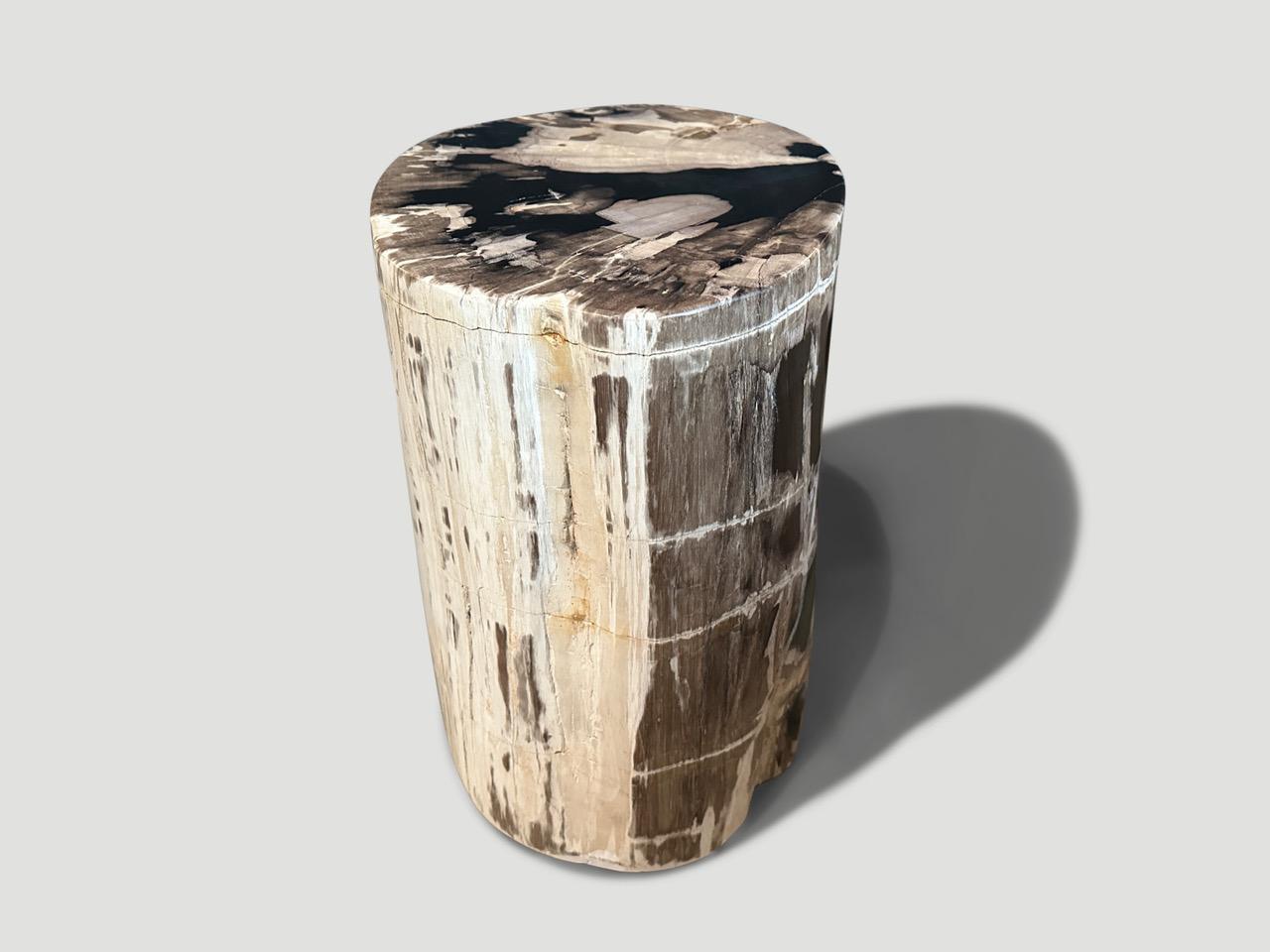 Andrianna Shamaris Beautiful Petrified Wood Side Table In Excellent Condition For Sale In New York, NY