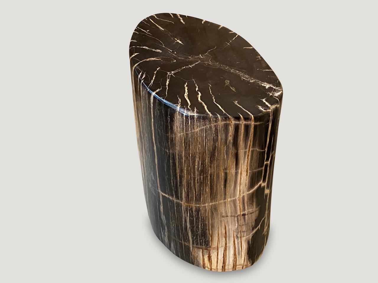 Andrianna Shamaris Beautiful Petrified Wood Side Table 1