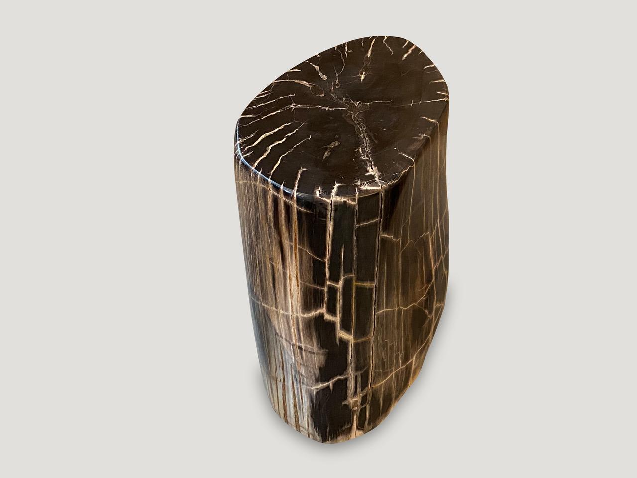 Andrianna Shamaris Beautiful Petrified Wood Side Table 3