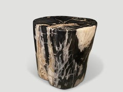 Andrianna Shamaris Beautiful Petrified Wood Side Table 