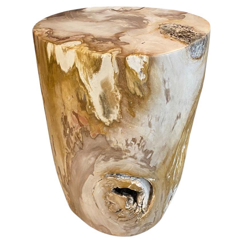Andrianna Shamaris Beautiful Petrified Wood Side Table with Crystals
