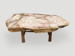 Andrianna Shamaris Beautiful Rare Petrified Wood Coffee Table