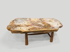 Andrianna Shamaris Petrified Wood Coffee Table with Teak Base