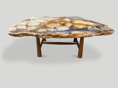 Andrianna Shamaris Beautiful Rare Petrified Wood Coffee Table