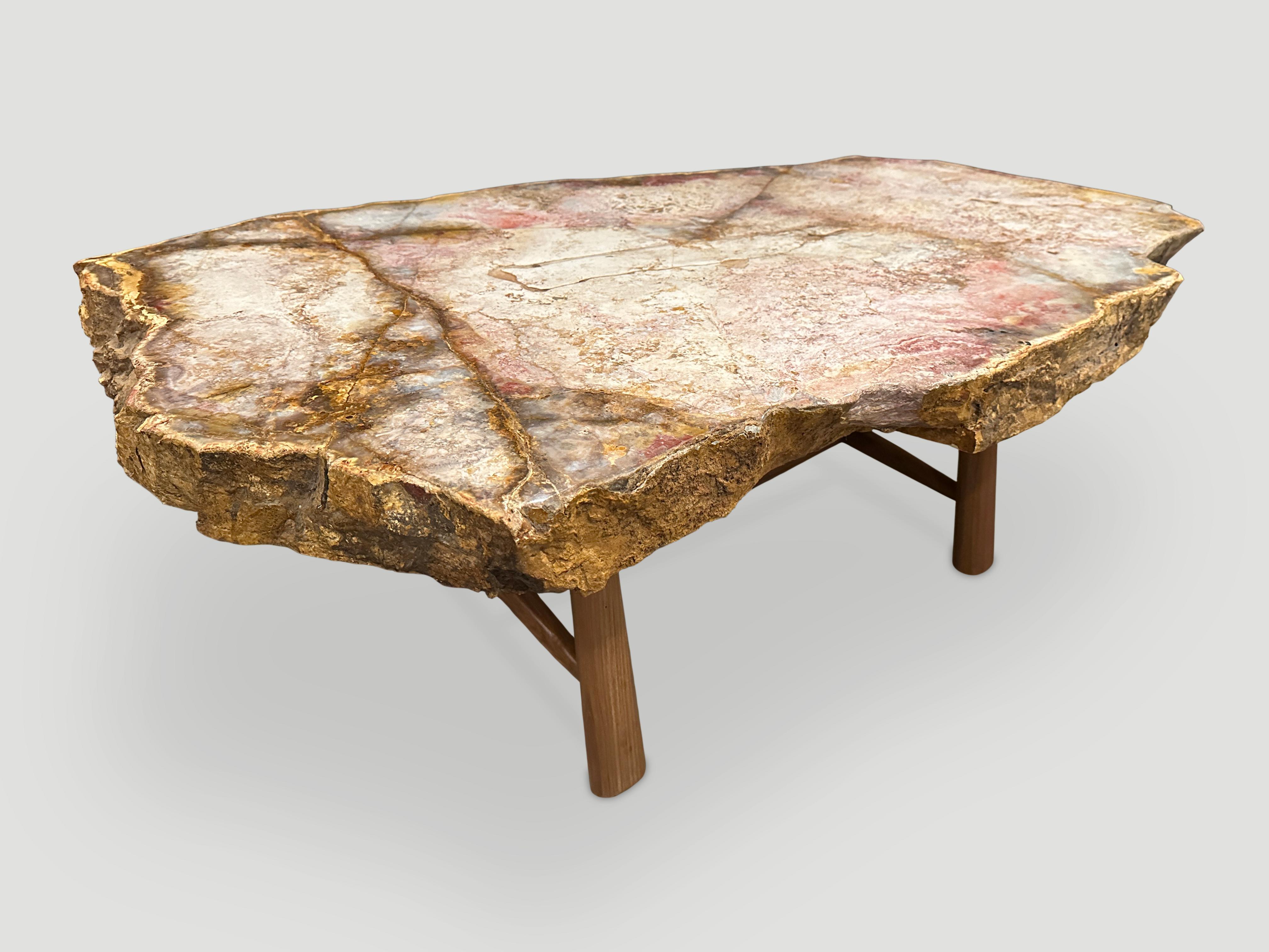 Organic Modern Andrianna Shamaris Beautiful Rare Petrified Wood Coffee Table For Sale