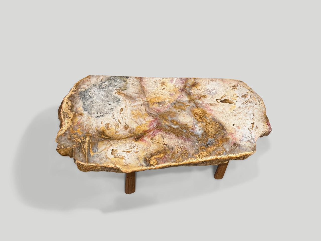 Organique Andrianna Shamaris - Magnifique table basse en bois pétrifié rare en vente