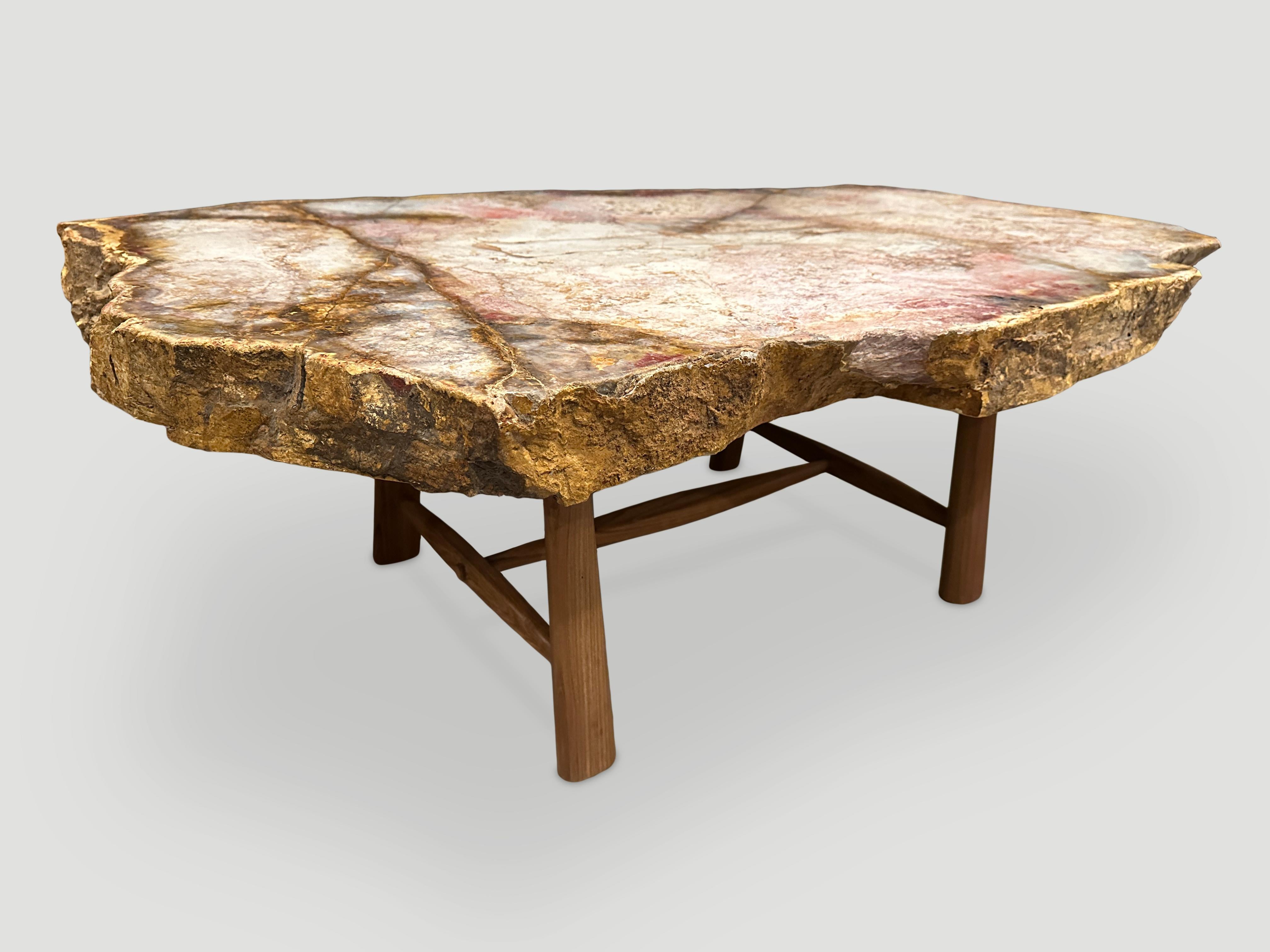 Organique Andrianna Shamaris - Magnifique table basse en bois pétrifié rare en vente