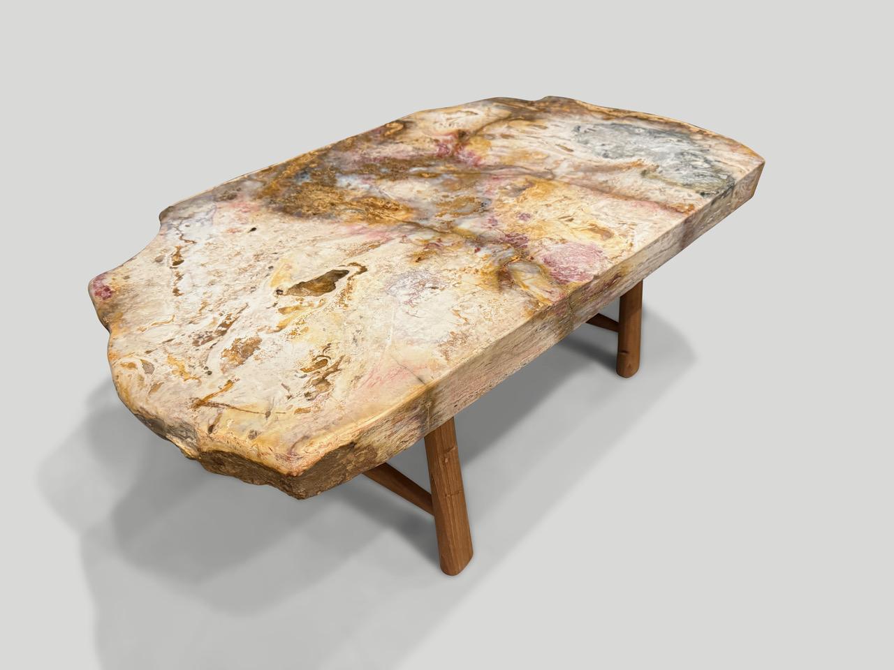 Andrianna Shamaris - Magnifique table basse en bois pétrifié rare Excellent état - En vente à New York, NY