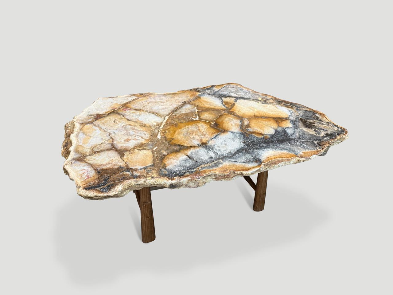Andrianna Shamaris - Magnifique table basse en bois pétrifié rare Excellent état - En vente à New York, NY
