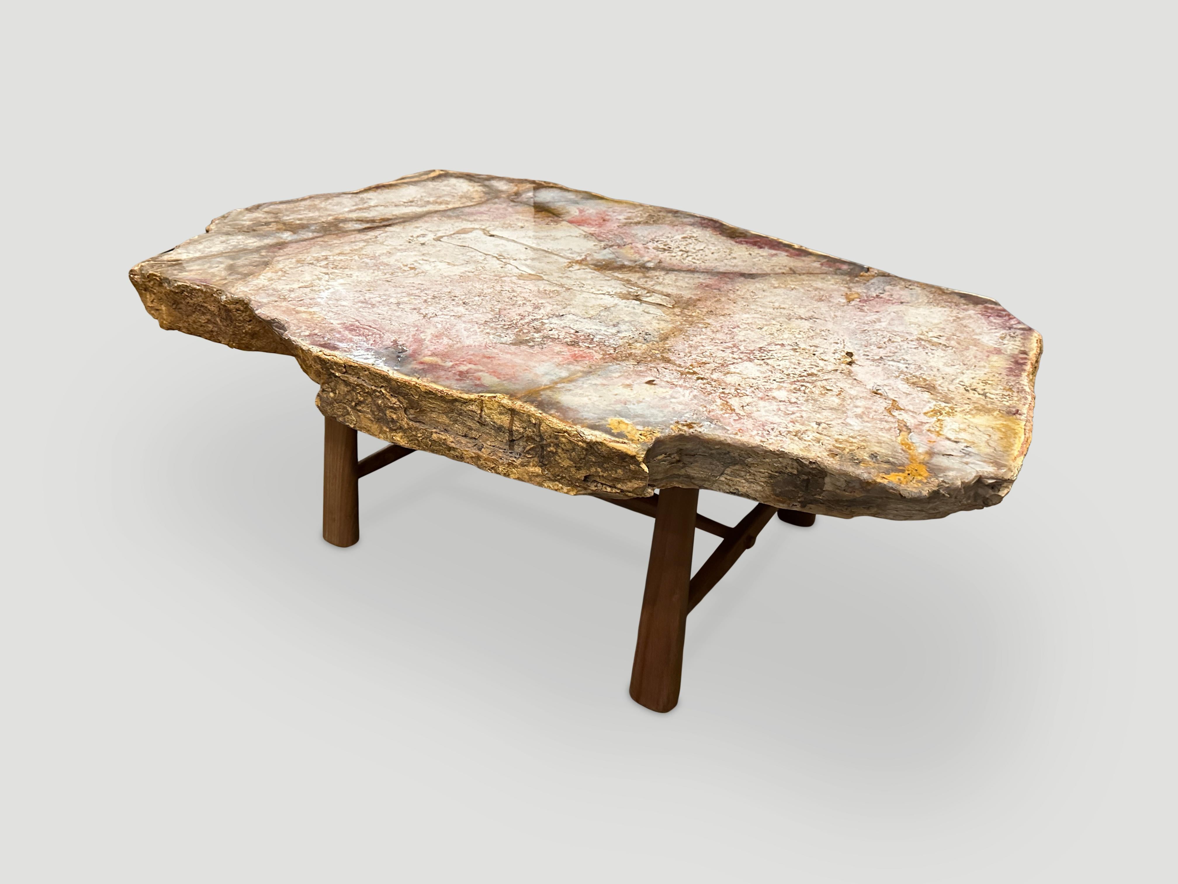 Andrianna Shamaris - Magnifique table basse en bois pétrifié rare Excellent état - En vente à New York, NY