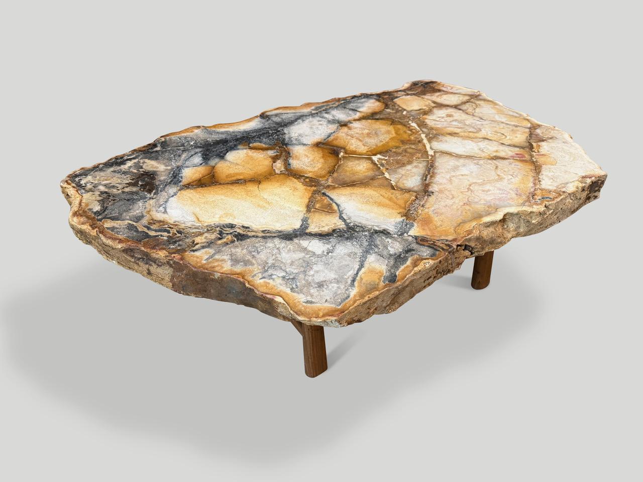 XXIe siècle et contemporain Andrianna Shamaris - Magnifique table basse en bois pétrifié rare en vente