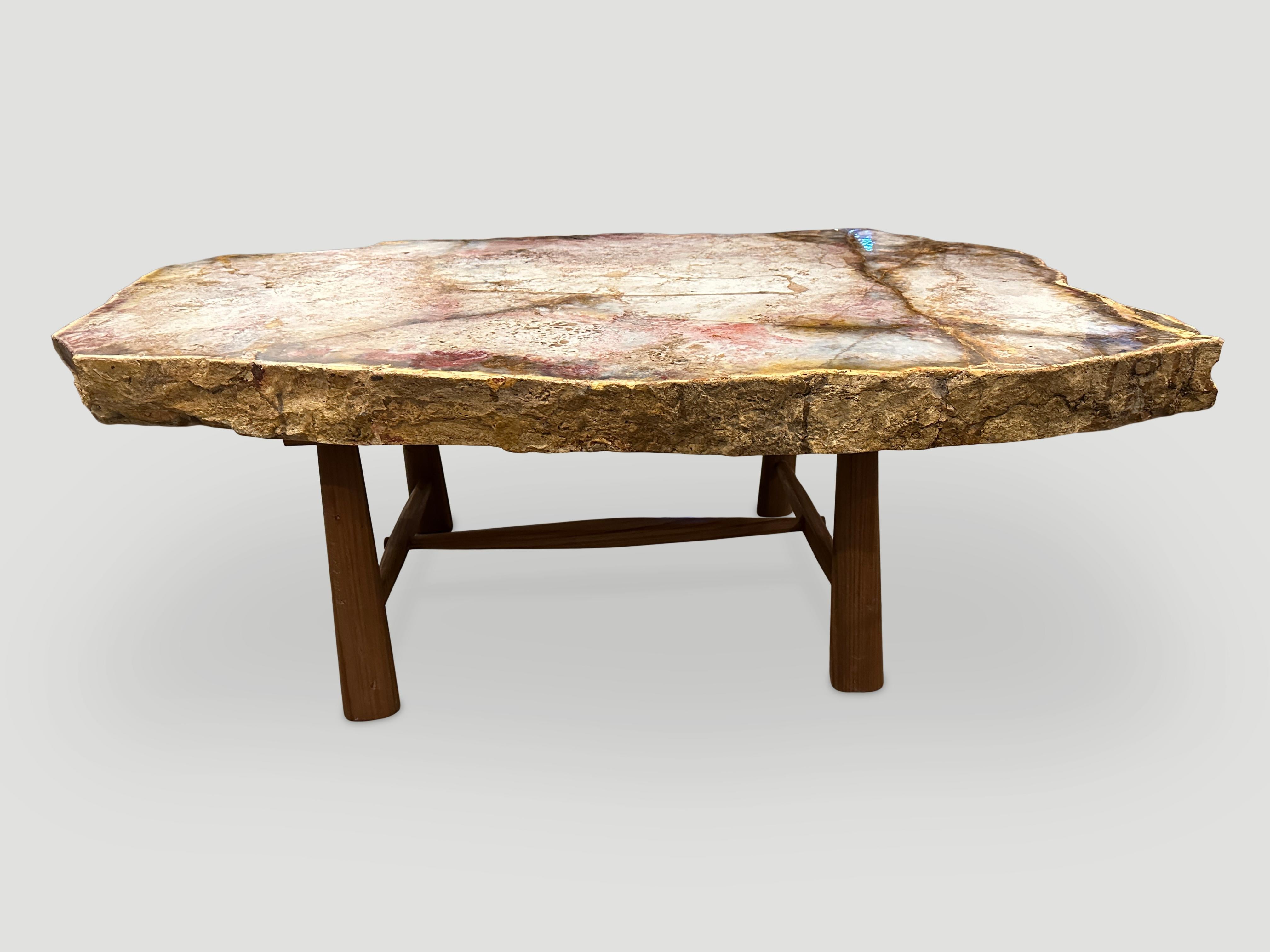 Andrianna Shamaris Beautiful Rare Petrified Wood Coffee Table 1