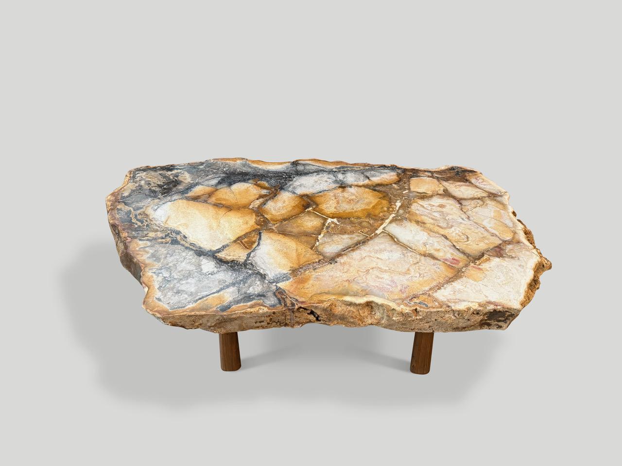 Bois Andrianna Shamaris - Magnifique table basse en bois pétrifié rare en vente