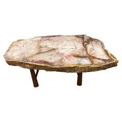 Andrianna Shamaris Beautiful Rare Petrified Wood Coffee Table