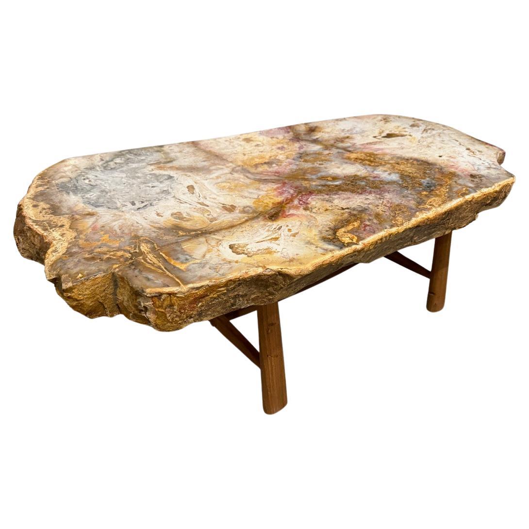 Andrianna Shamaris Beautiful Rare Petrified Wood Coffee Table