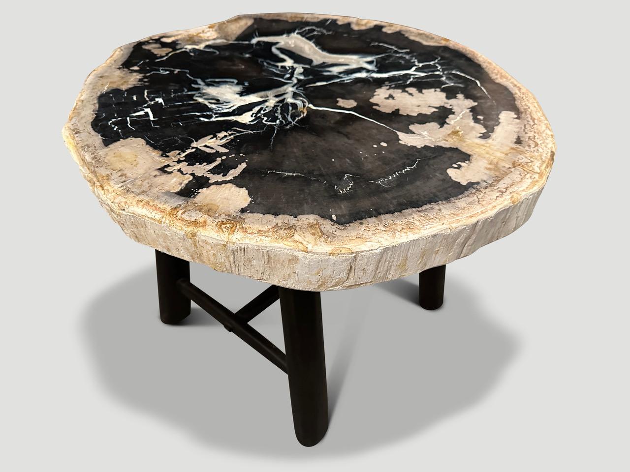 Organic Modern Andrianna Shamaris Beautiful Rare Petrified Wood Side Table For Sale
